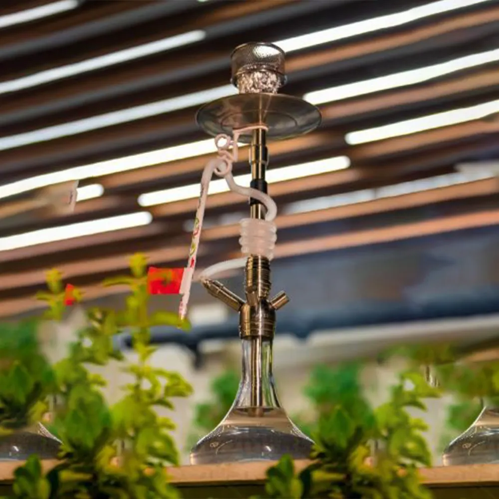 Shisha